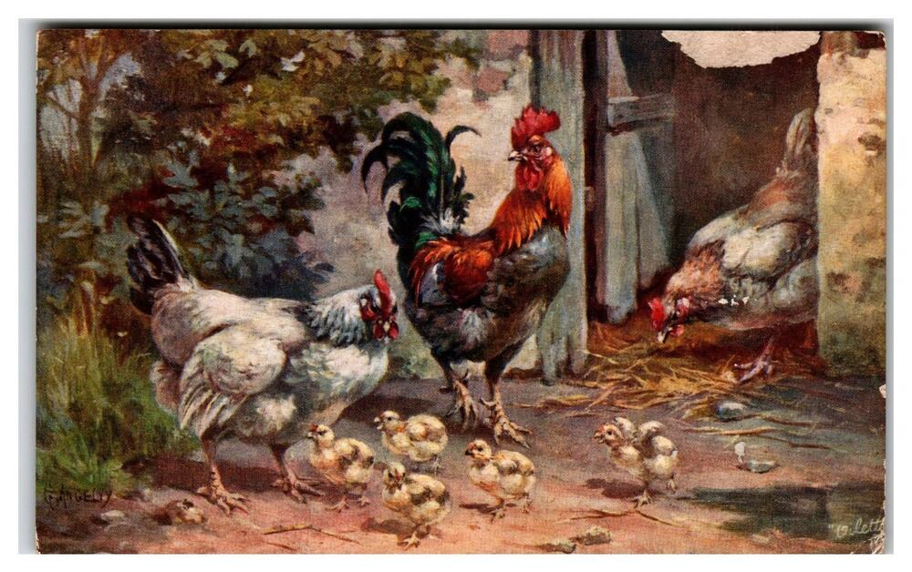 Raphael Tuck Oilette Easter Postcard Rooster Hen Chicks Farmyard 1911